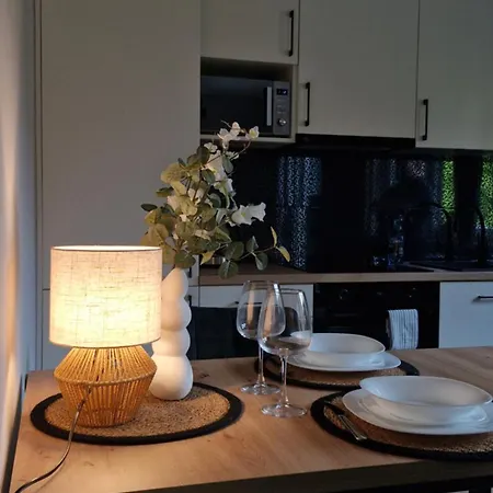 Appartement Elite 1 Jezyce- Baranczaka 1