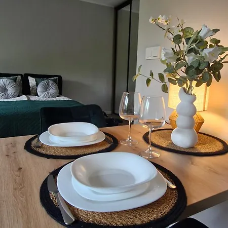 Elite 1 Jezyce- Baranczaka 1 Appartement *