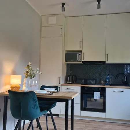 Apartment Elite 1 Jezyce- Baranczaka 1