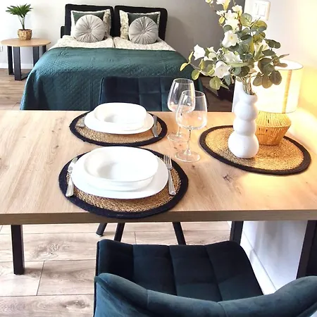 Elite 1 Jezyce- Baranczaka 1 Appartement Poznań