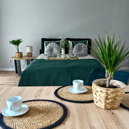 Apartment Elite 1 Jezyce- Baranczaka 1 Poznan