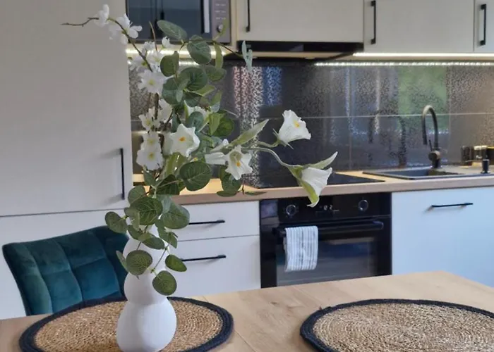 Apartman Elite 1 Jezyce- Baranczaka 1