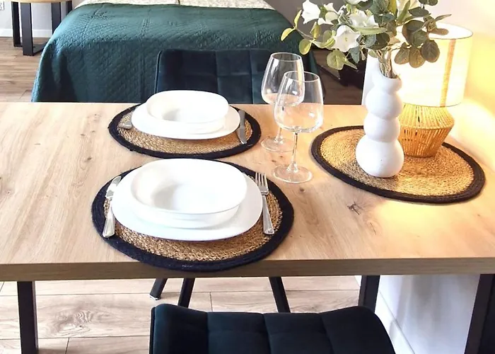 Elite 1 Jezyce- Baranczaka 1 Apartman Poznań