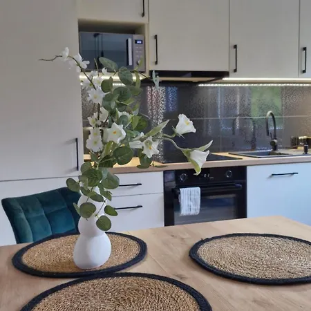 Apartment Elite 1 Jezyce- Baranczaka 1