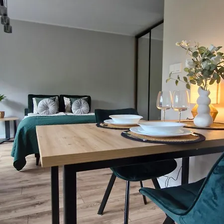 Apartment Elite 1 Jezyce- Baranczaka 1 *