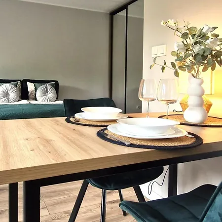 Elite 1 Jezyce- Baranczaka 1 Apartment Poznan