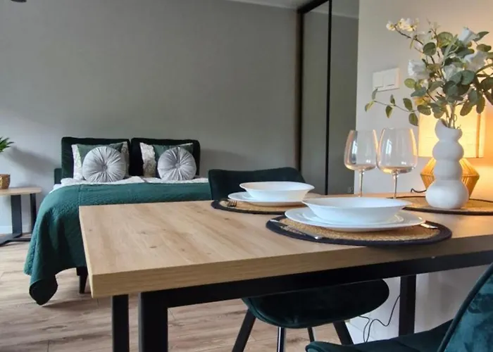 Apartment Elite 1 Jezyce- Baranczaka 1 *